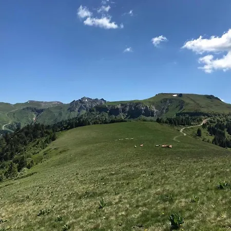 Appartement 2* Hyper-centre Avec Balcon Et Wifi - Fr-1-608-69 *